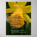 Suche nach narzisse poster Natur