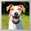 Suche nach tierbild poster Wild