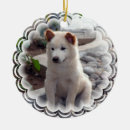 Suche nach chow ornamente Welpe
