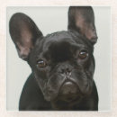 Suche nach französische bulldogge untersetzer Studioschuß