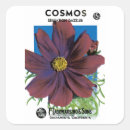 Suche nach kosmos aufkleber Flora