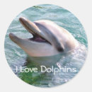Suche nach delphin liebe aufkleber Delphine