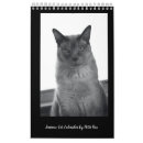 Suche nach lustige katze kalender Kitty