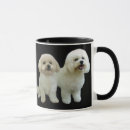 Suche nach bichons tassen Bichon frise