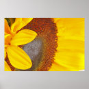Suche nach macro poster Blume