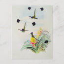 Suche nach gould postkarten Vögel