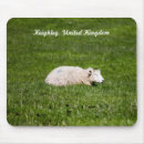 Suche nach niedliche schafe mousepads Tier