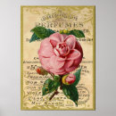 Suche nach antiquitäten poster Rose