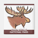 Suche nach yellowstone national park magnete Elche