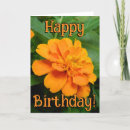 Suche nach orange blumen karten Mother
