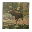 Suche nach jagd fliesen Natur