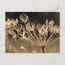 Suche nach regentropfen postkarten Wasser