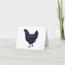 Suche nach henne alle karten Huhn