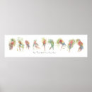 Suche nach parrots poster Birds