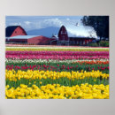 Suche nach washington state poster Nature