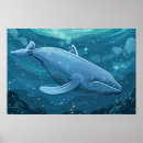 Suche nach blauwal poster Meer