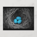 Suche nach schwarzes baby postkarten Blau