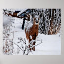 Suche nach winterlandschaft poster Schnee