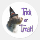 Suche nach griffon aufkleber Greifen