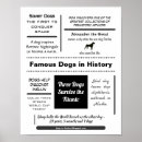 Suche nach interessante poster Fakten