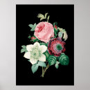 Suche nach rose schwarz poster Für sie