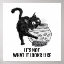 Suche nach katzen fisch poster Kätzchen