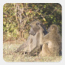 Suche nach krüge aufkleber Südafrika