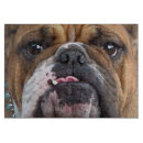 Suche nach englisch schneidebrettchen Tiere