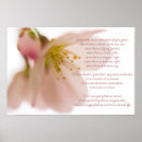 Suche nach st francis assisi poster Blumen