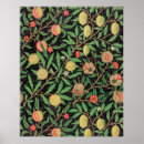 Suche nach vintage fruit poster Pomegranate