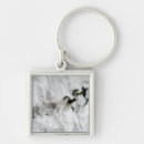 Suche nach vulkan schlüsselanhänger Ausbruch