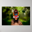 Suche nach mandrill affe poster Dschungel