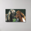 Suche nach bob leinwandbilder Miniaturen