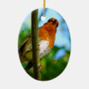 Suche nach rotkehlchen ornamente Wild