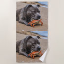 Suche nach lustige hunde strand tuch Haustier