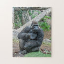 Suche nach gorilla puzzle Zoo