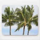 Suche nach palme mousepads Himmel