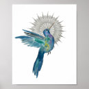 Suche nach hummingbird poster Vögel