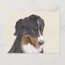 Suche nach sennenhund postkarten Welpe