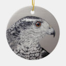 Suche nach falknerei ornamente Raubvogel