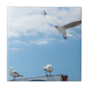 Suche nach die himmel fliesen Fliegen