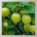 Suche nach camper poster Retro