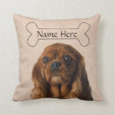 Suche nach kavalier kissen Hunde