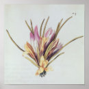 Suche nach vellum poster Blume