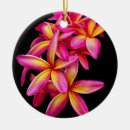 Suche nach plumeria ornamente Blumenreich