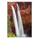 Suche nach forrest poster Natur