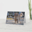 Suche nach golden retriever karten Glücklich