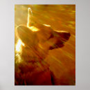 Suche nach polizeihund poster Hunde