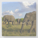 Suche nach elefant untersetzer Dekor