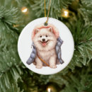 Suche nach samoyed ornamente Haustier